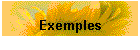 Exemples