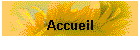 Accueil