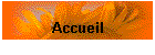Accueil