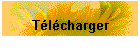 T�l�charger